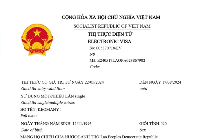 E-Visa Khẩn, Công Văn Nhập Cảnh & Dán Visa DN